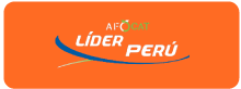 Logo-lider-peru